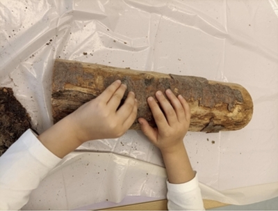 Legno02